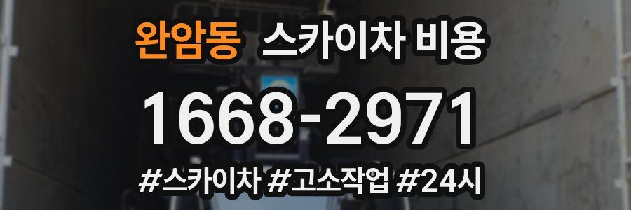 완암동 스카이차 비용