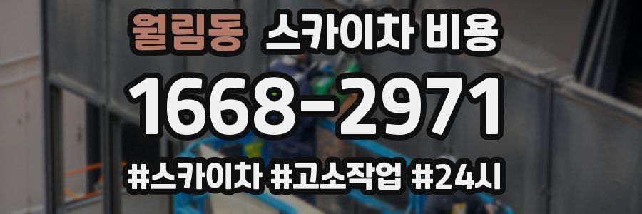 월림동 스카이차 비용