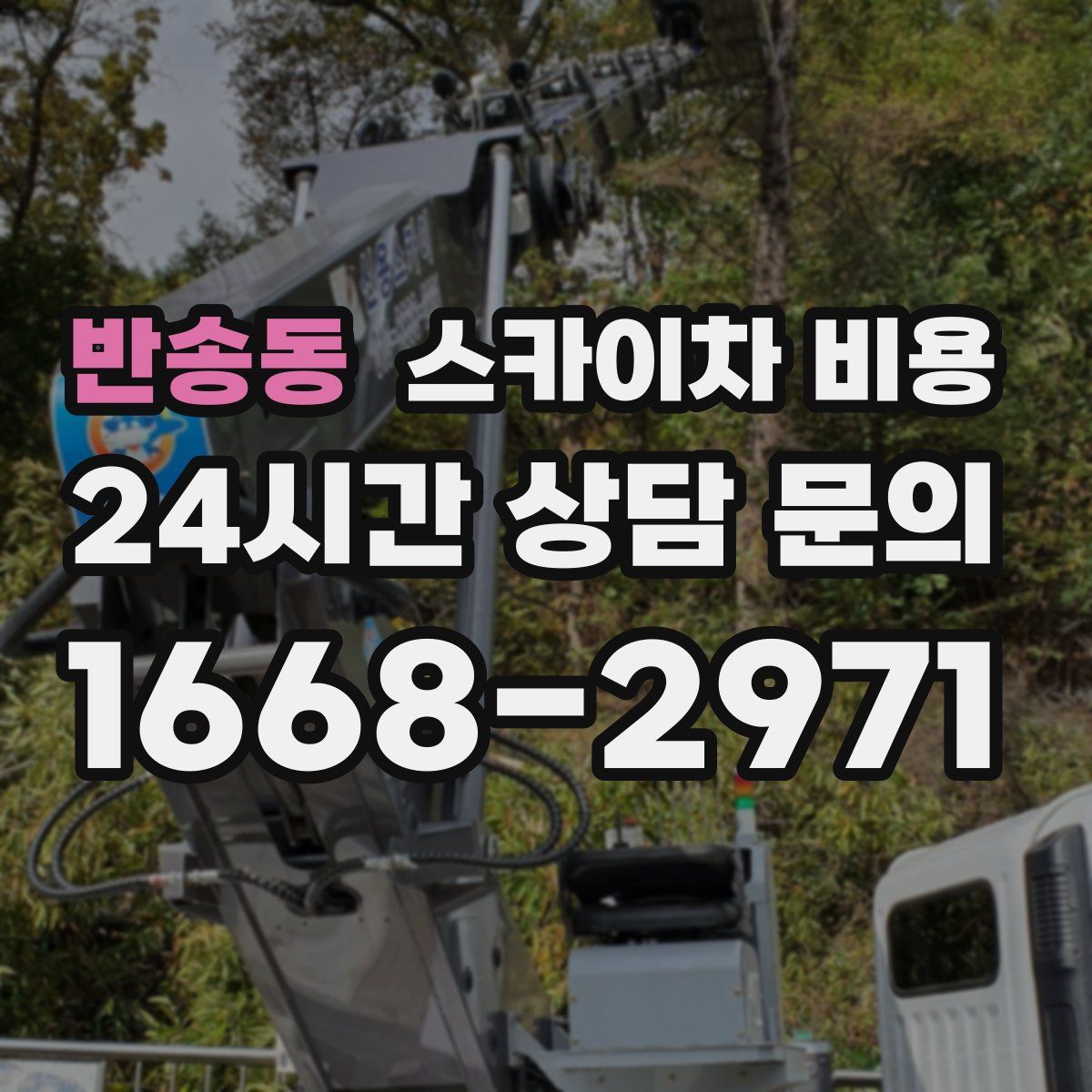 반송동 스카이차 비용