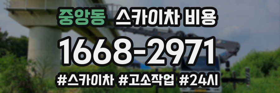 중앙동 스카이차 비용