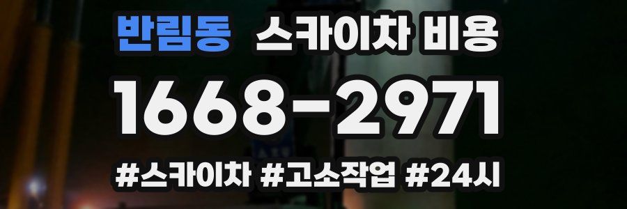 반림동 스카이차 비용