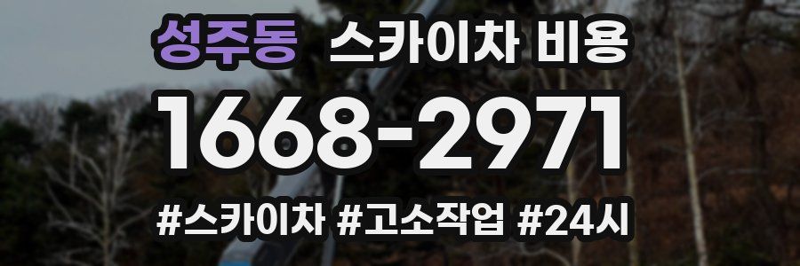 성주동 스카이차 비용