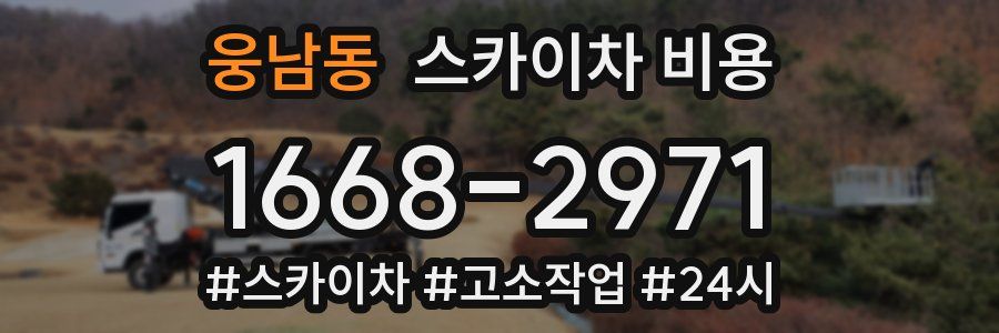 웅남동 스카이차 비용