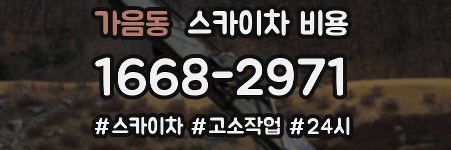 가음동 스카이차 비용