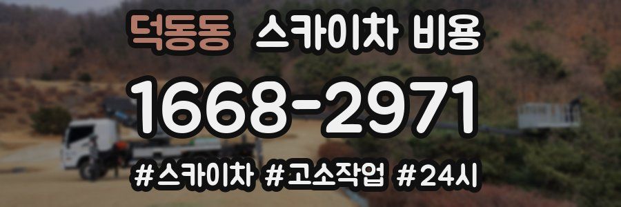 덕동동 스카이차 비용