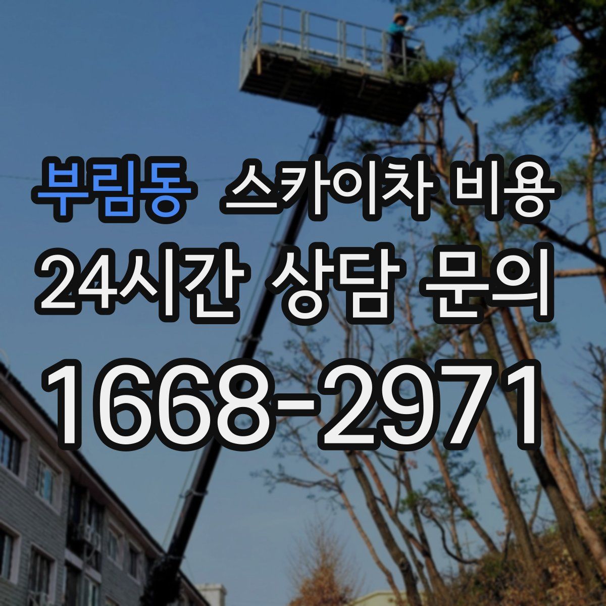 부림동 스카이차 비용