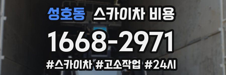 성호동 스카이차 비용