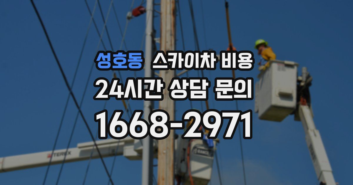 성호동 스카이차 비용