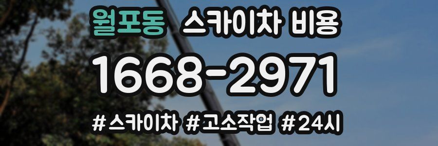 월포동 스카이차 비용