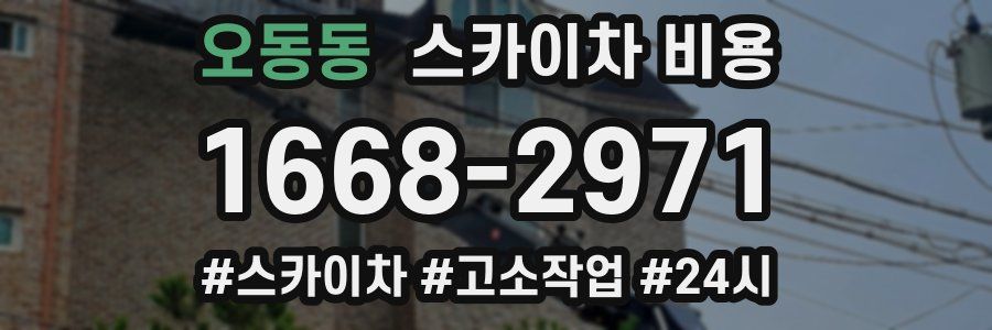 오동동 스카이차 비용