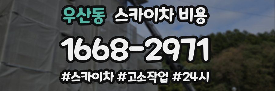 우산동 스카이차 비용