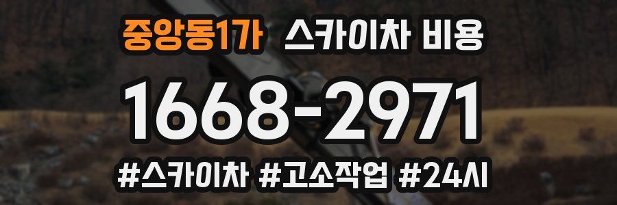 중앙동1가 스카이차 비용