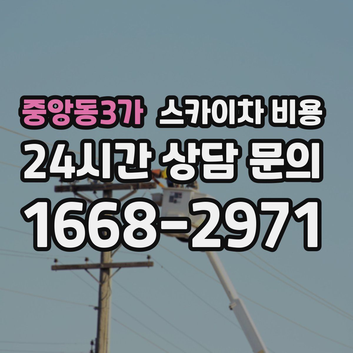 중앙동3가 스카이차 비용