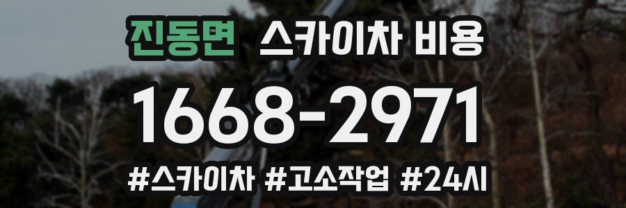 진동면 스카이차 비용