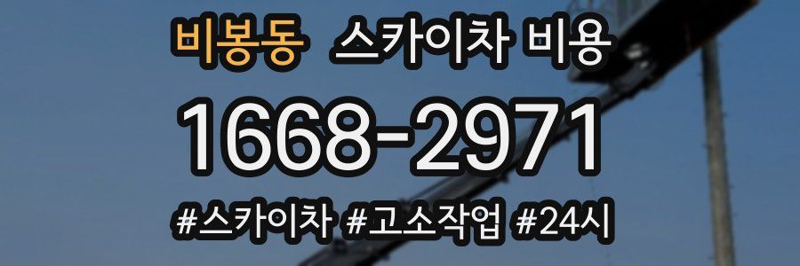 비봉동 스카이차 비용