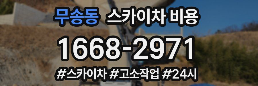 무송동 스카이차 비용