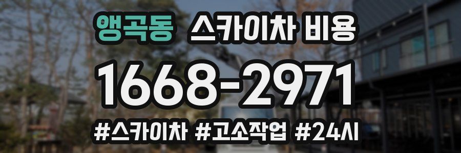 앵곡동 스카이차 비용