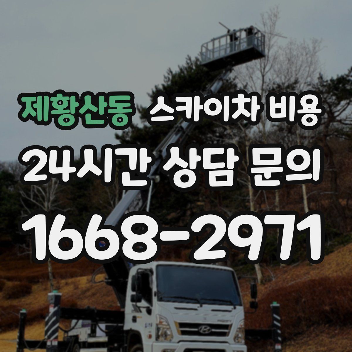 제황산동 스카이차 비용