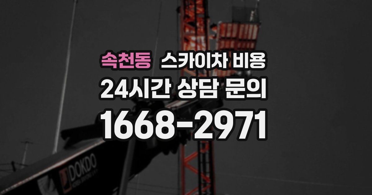 속천동 스카이차 비용