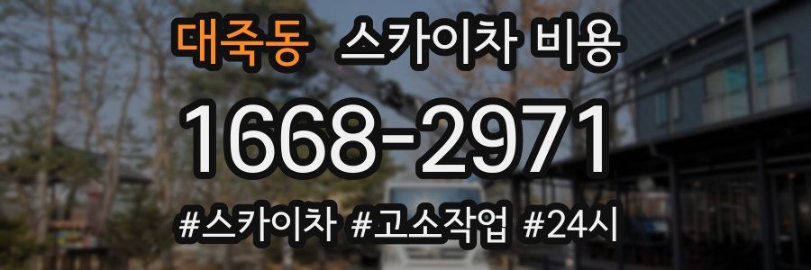 대죽동 스카이차 비용