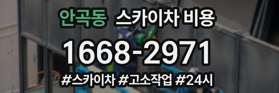 안곡동 스카이차 비용