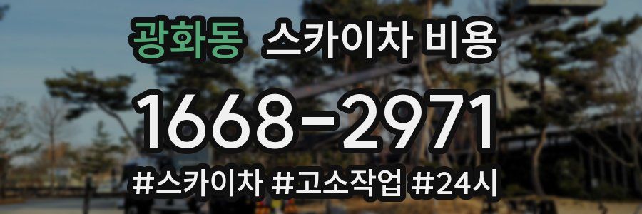 광화동 스카이차 비용