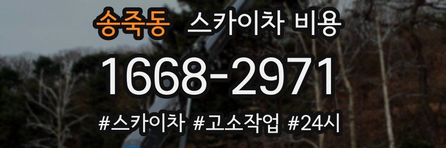 송죽동 스카이차 비용