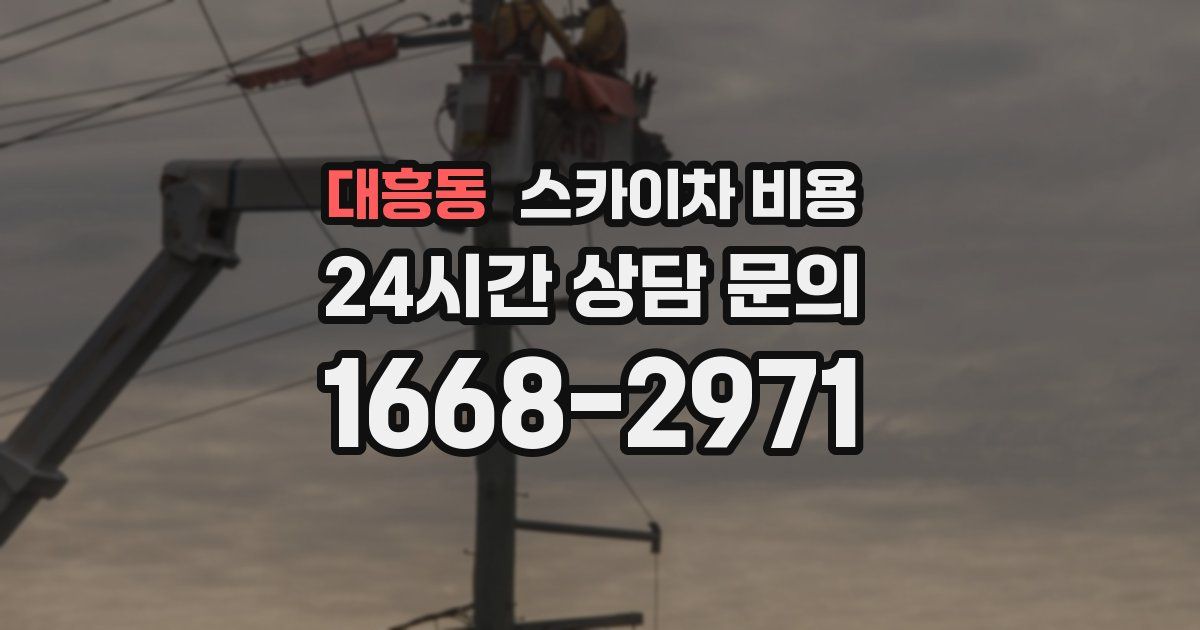 대흥동 스카이차 비용