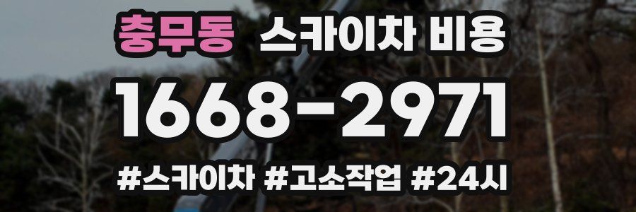 충무동 스카이차 비용