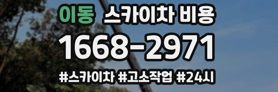 이동 스카이차 비용