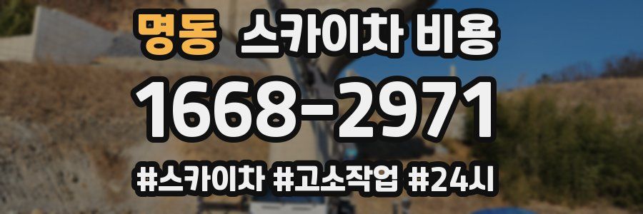 명동 스카이차 비용