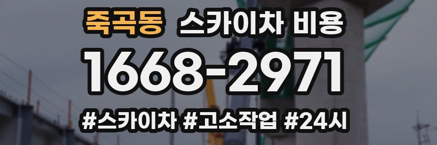 죽곡동 스카이차 비용