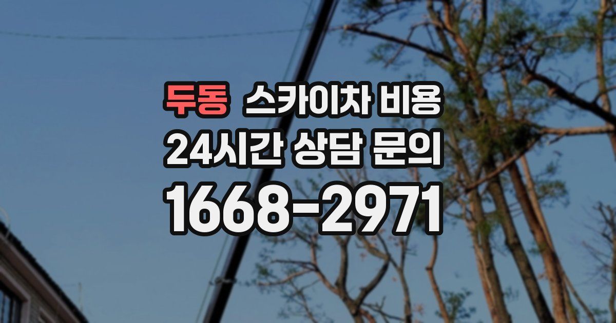 두동 스카이차 비용