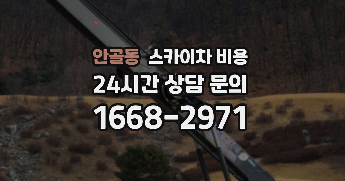 안골동 스카이차 비용