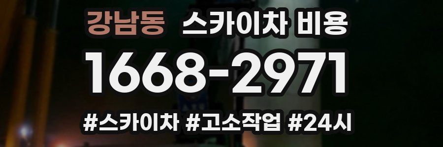 강남동 스카이차 비용