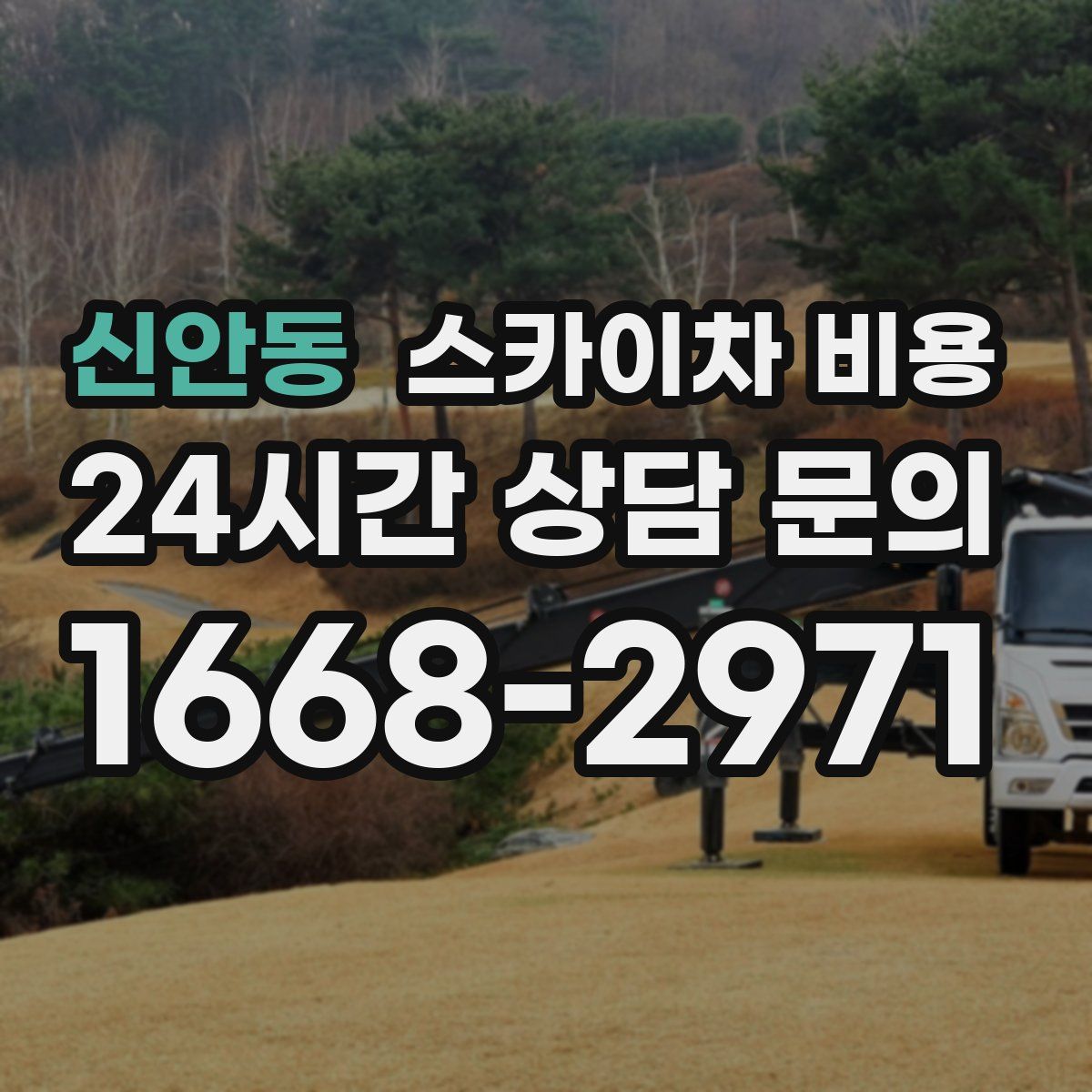 신안동 스카이차 비용