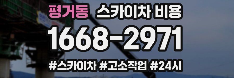 평거동 스카이차 비용