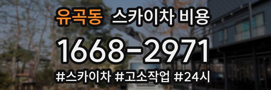유곡동 스카이차 비용