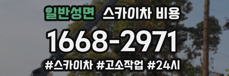 일반성면 스카이차 비용