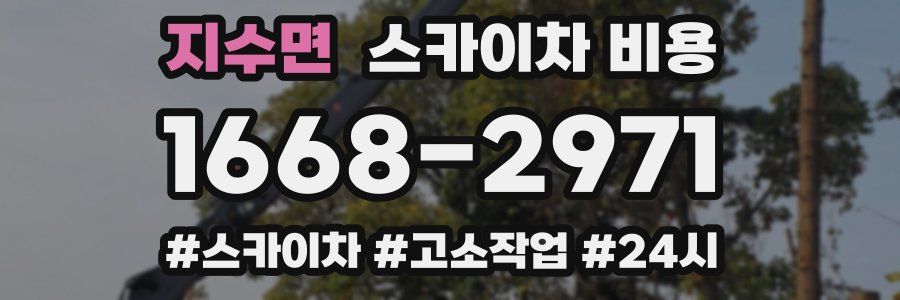 지수면 스카이차 비용