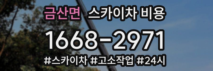 금산면 스카이차 비용