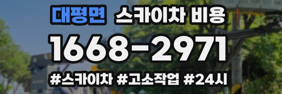 대평면 스카이차 비용