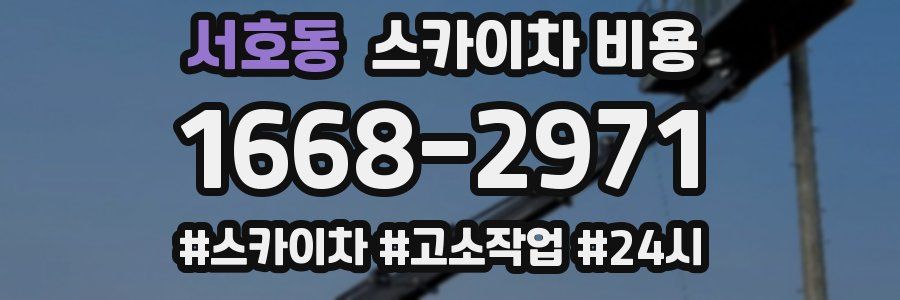 서호동 스카이차 비용