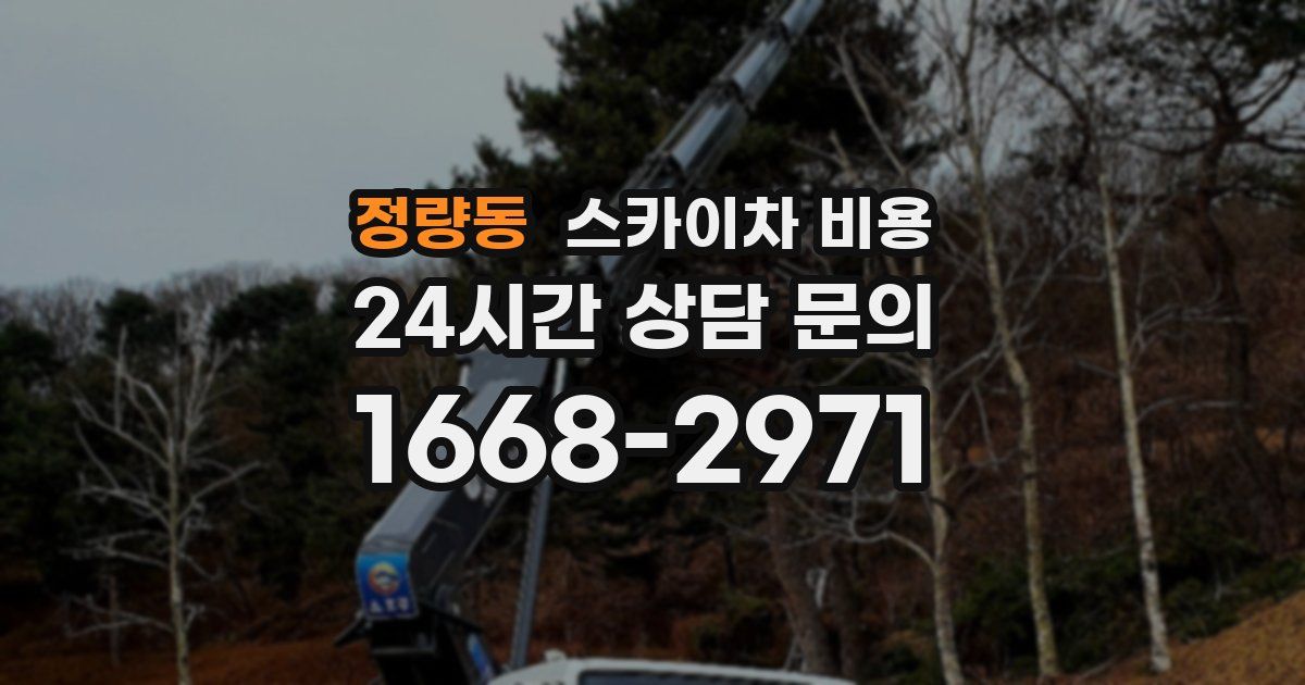 정량동 스카이차 비용