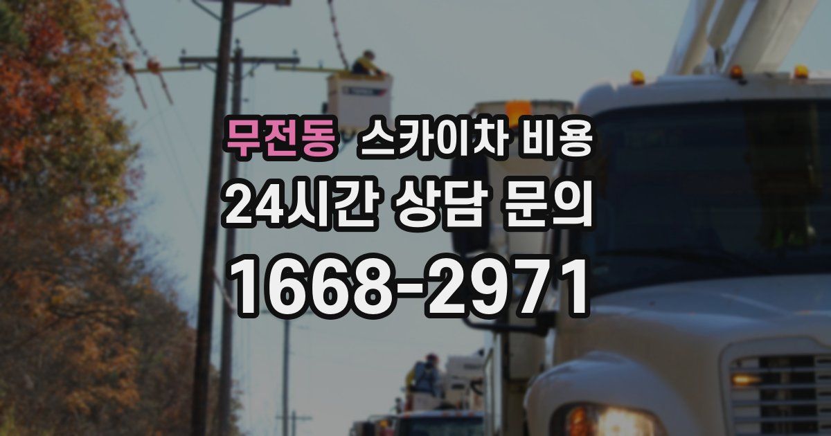 무전동 스카이차 비용