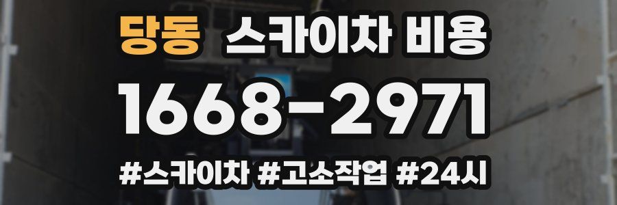 당동 스카이차 비용