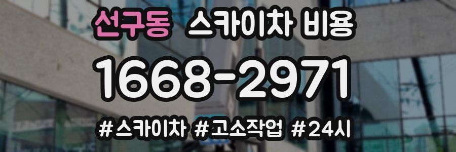 선구동 스카이차 비용