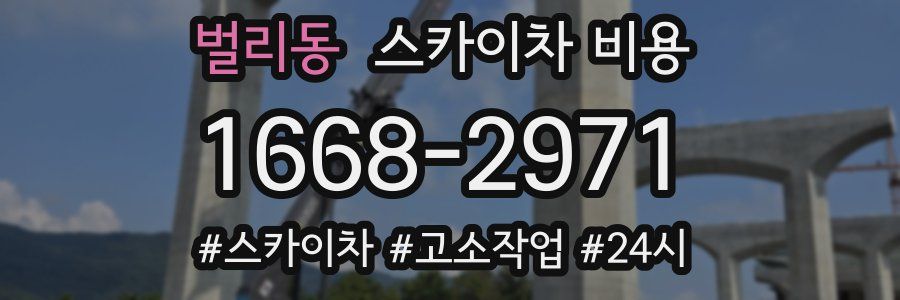 벌리동 스카이차 비용