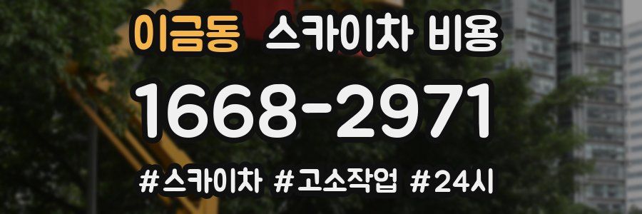 이금동 스카이차 비용