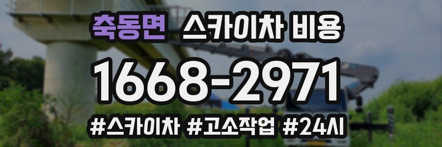 축동면 스카이차 비용